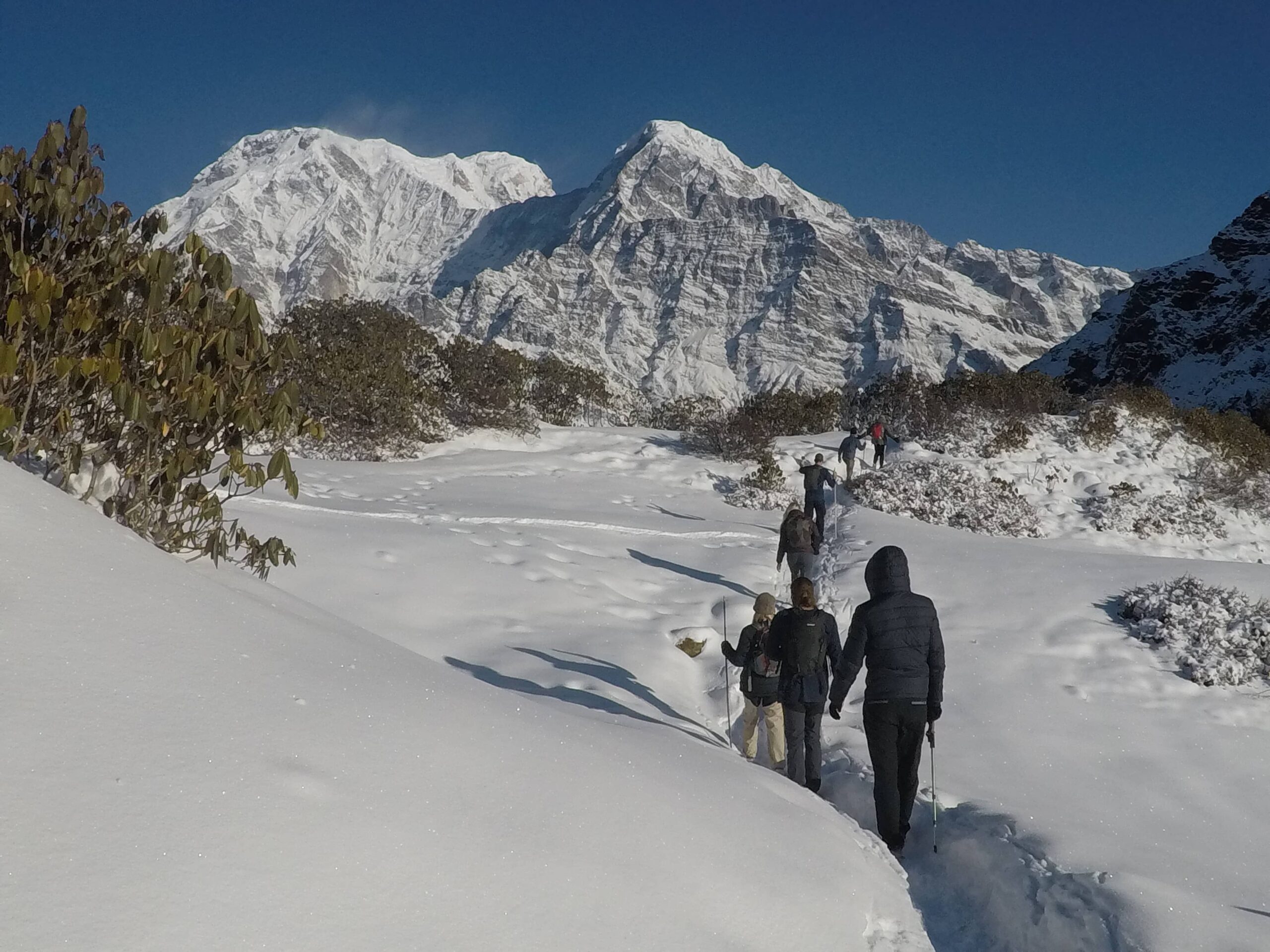 Mardi Himal Trek: Short Adventure in Nepal