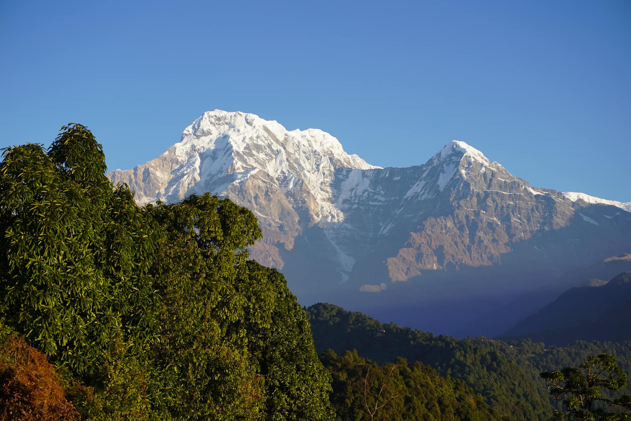 views to Annapurna with cat