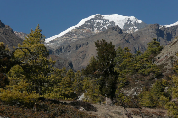 Chulu far East/ West peak